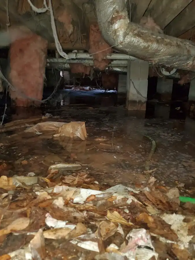 Crawl space flood assessment for Leak Detection & Repair in Sunset
